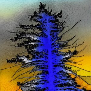 A Tree in Angeles Crest